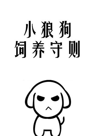 《小狼狗饲养守则》