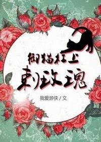 《(七五同人)御猫杠上刺玫瑰》