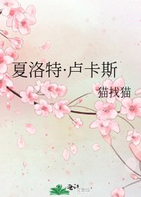 《夏洛特·卢卡斯》