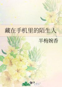 《藏在手机里的陌生人》